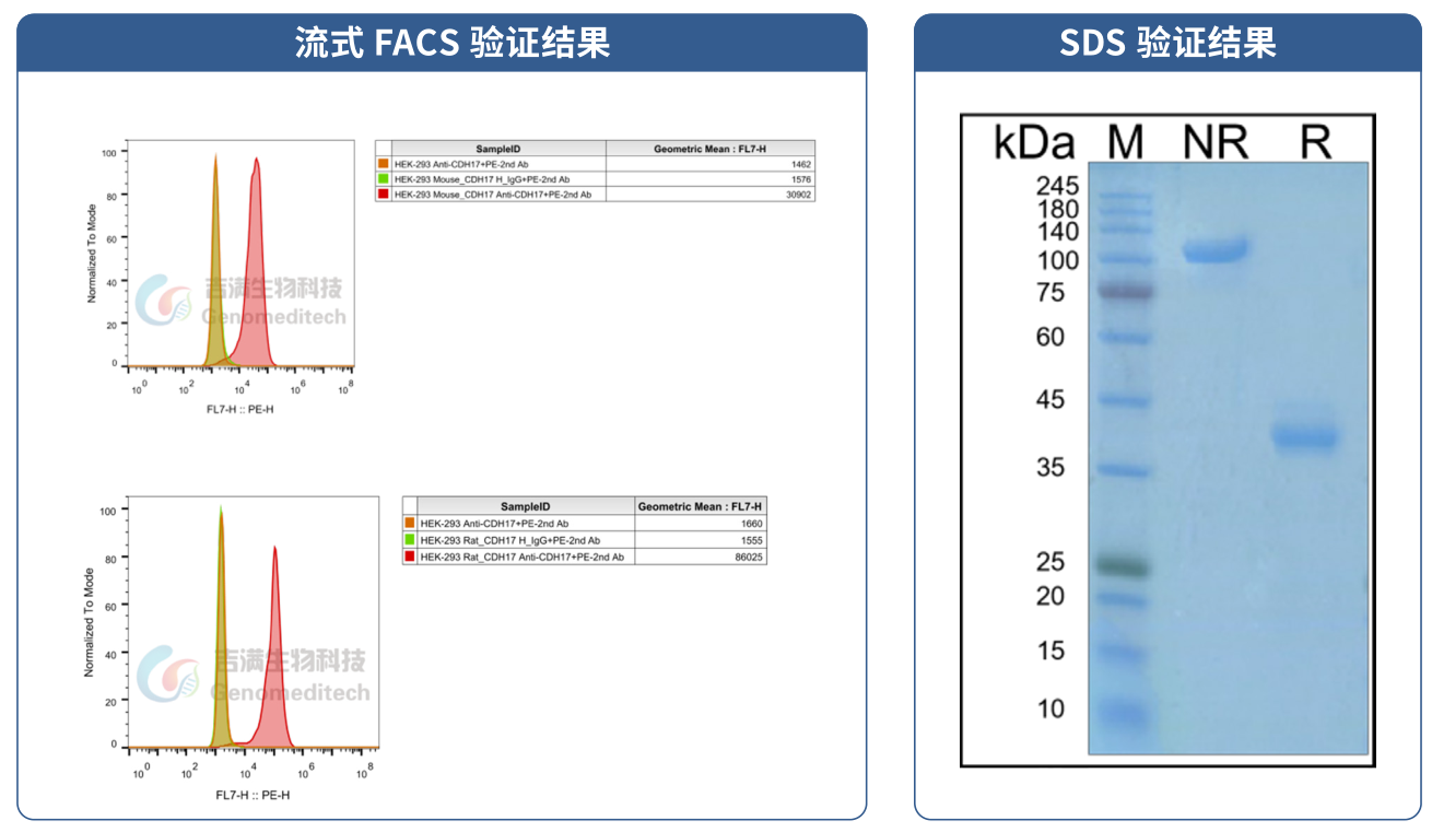biosimilar3.png