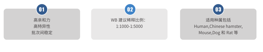 內參1.png