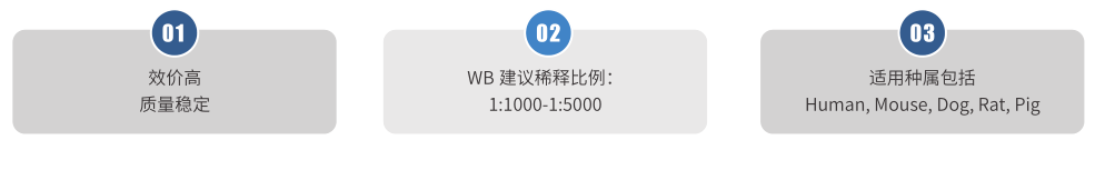內參2.png