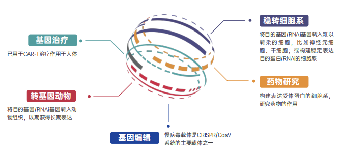 慢病毒應用.png