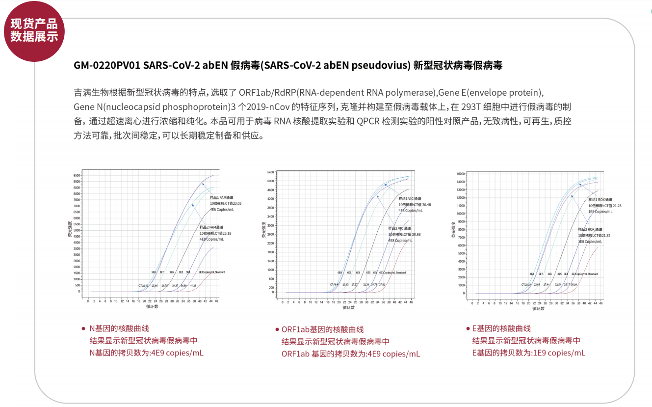 冠狀病毒1.png